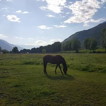 Agriturismo Il Capretto ファームステイ *